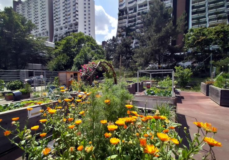 Bild des Urban Gardening Projekts pflanzbar